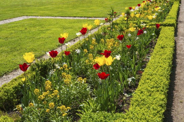Flower bed with red and yellow tulips, castle park, Schloss Neuhaus, Paderborn, Westphalia, North