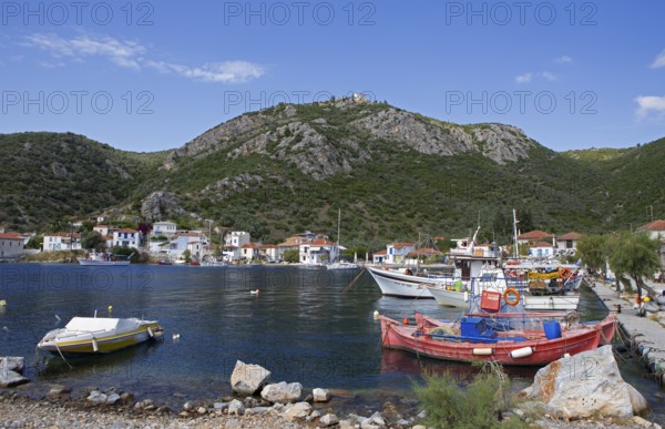 Boats in the harbour of Agia Kiriaki on the Aegean Sea, Pelion or Pelion Peninsula, Magnisia,