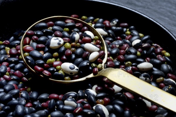 Various beans in ladle, dried beans