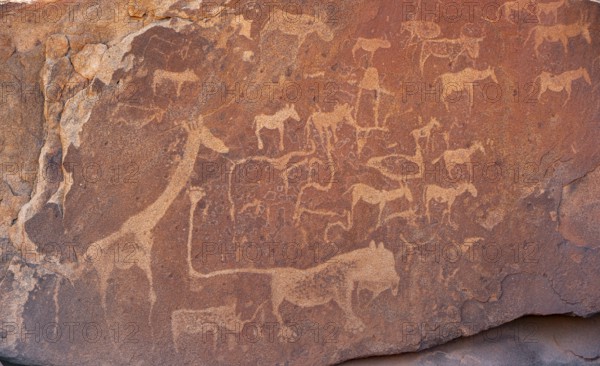 Depictions of animals on a rock slab, lion slab, rock carvings, rock engravings, Twyfelfontein,