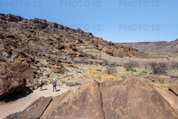 Tourists look at depictions of animals on a rock slab, petroglyphs, rock engravings, Twyfelfontein,