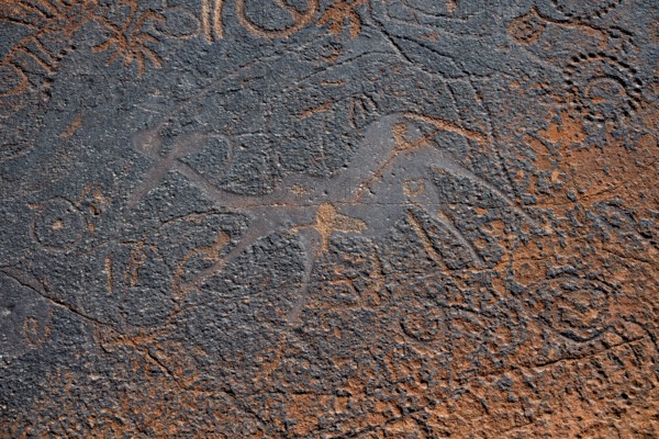 Detail, Depictions of animals and patterns on a rock slab, petroglyphs, rock engravings,