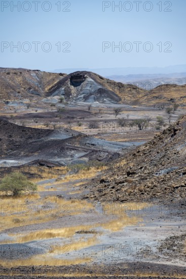 Dry landscape with yellow grass and black volcanic hills, Burnt Mountain, Damaraland, Kunene,