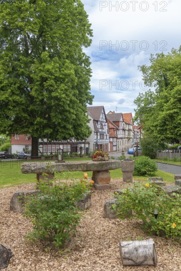 Forecourt of St Crucis Church, Bad Sooden, Allendorf, Allendorf district, roses with fieldstones,