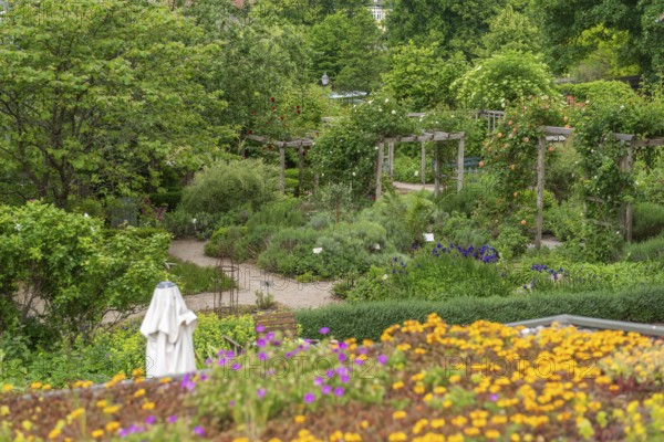 Church and Bible garden of St Crucis Church, Bad Sooden, Allendorf, Allendorf district, symbol of