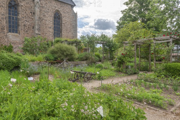 Church and Bible garden of St. Crucis Church, Bad Sooden, Allendorf, Allendorf district, symbol for