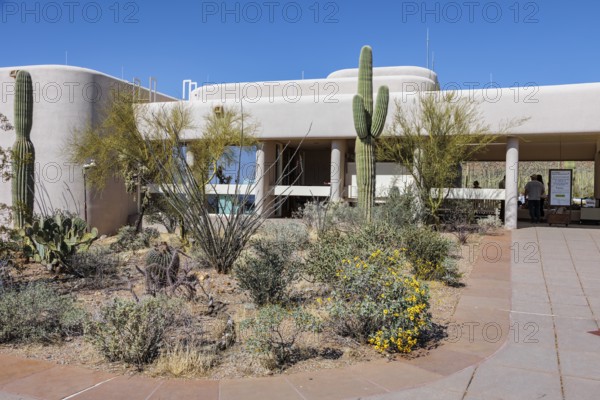 Variety of cactus types at the entrance to the Red Hills Visitor Center of the Organ Pipe Cactus