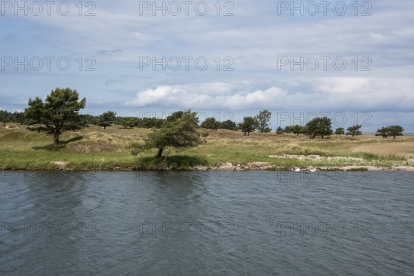 Quiet former emergency harbour with grassy shores and scattered trees under a cloudy sky, Prerow,
