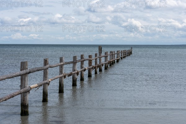 Long wooden jetty juts out into the calm sea with a cloudy sky on the horizon, Prerow,