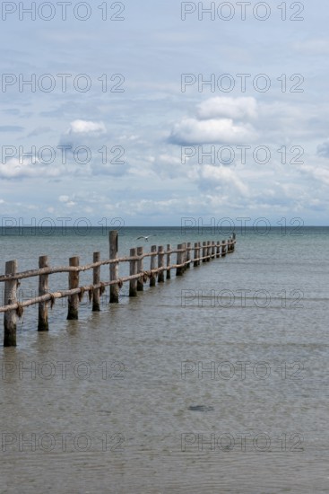 Wooden footbridge leads into the calm, blue sea under a slightly cloudy sky, Prerow,
