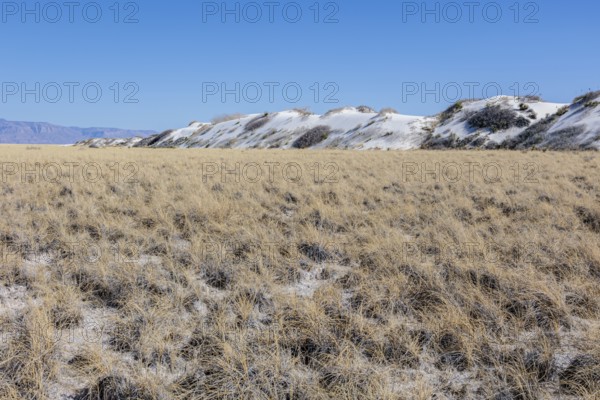 Gypsum dunefields at White Sands National Monument located within the Chihuahuan Desert and the