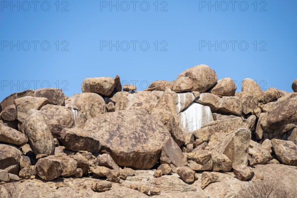 Rocks of a Klipschliefer colony, rock formation, Brandberg, Damaraland, Namibia