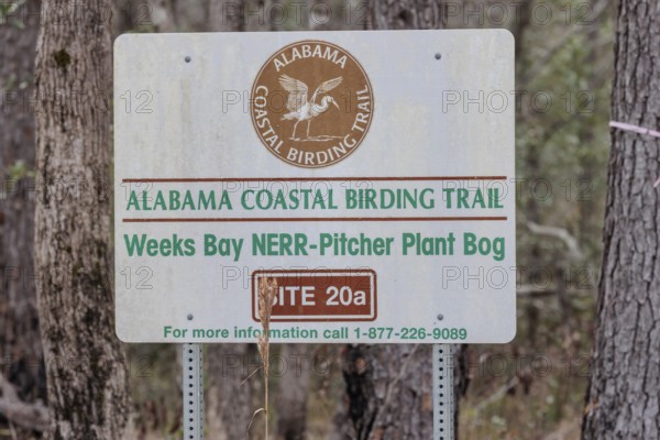 Alabama Coastal Birding Trail sign posted at the Weeks Bay Pitcher Plant Bog near Fairhope,