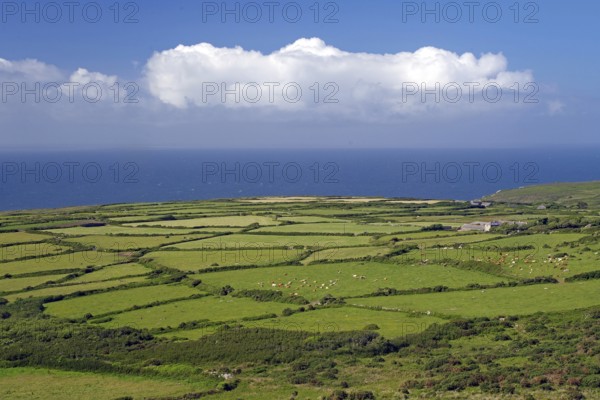 Wide green fields stretch to the coast under a cloudy sky, St Ives, Cornwall, England, United