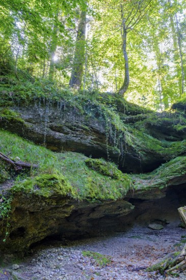 Dachshöhle geotope, Wackersberg, Tölzer Land, Upper Bavaria, Bavaria, Germany