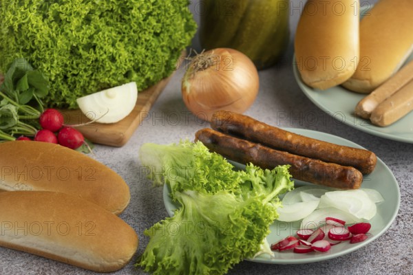 A plate with lettuce, onion, radish and sausage surrounded by bread rolls and ingredients