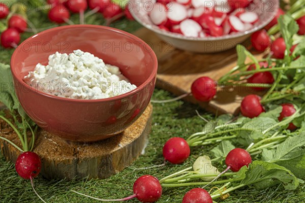 Bowl of cottage cheese surrounded by fresh radishes on a green meadow