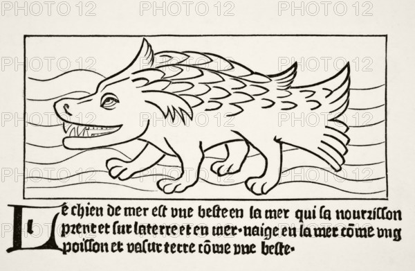 The seal after a wood engraving in Dyalogue des Creatures, published in 1482. From Science and