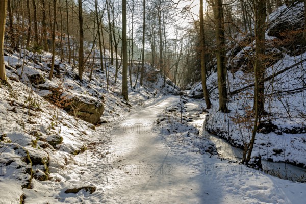 Snow-covered forest path with rays of sunshine and surrounding trees, The Dragon Gorge near