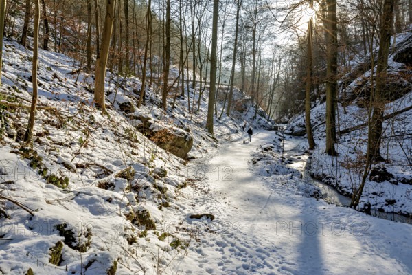 Forest path in the snow with a person, sunbeams in the background, The Dragon Gorge near Eisenach