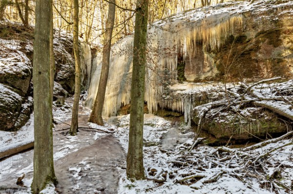 Frozen waterfall on a rock face in a snow-covered winter forest, surrounded by tall trees, The