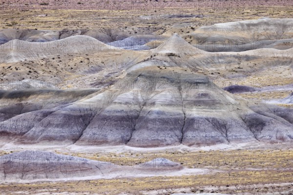 Colorful deposits of the Chinle Formation exposed at Little Painted Desert County Park near