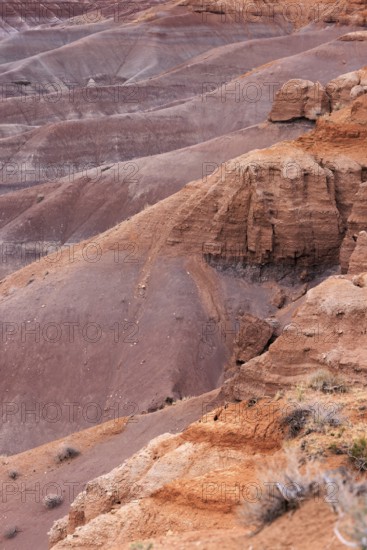Colorful deposits of the Chinle Formation exposed at Little Painted Desert County Park near