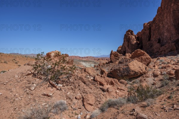 Sandstone rock formations along the Fire Wave Trail at Valley of Fire State Park near Overton,