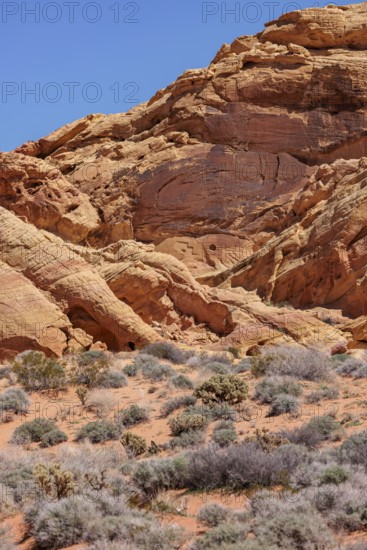 Rock formations along the Fire Canyon Overlook Trail at Valley of Fire State Park near Overton,