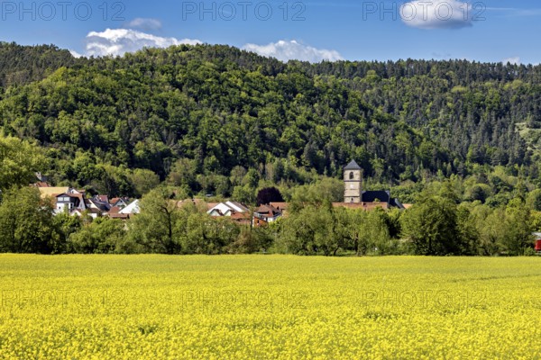 Wide yellow fields in front of a village with a church tower, surrounded by forests and hills, The