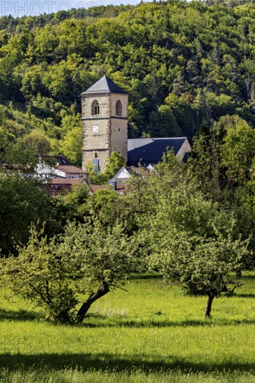 A church tower towers over trees and a meadow, embedded in nature, The church tower of the