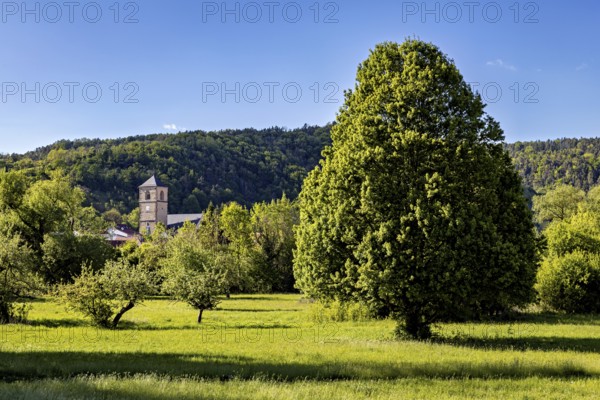 Church tower behind green trees and meadow in a rural, natural setting, The church tower of the