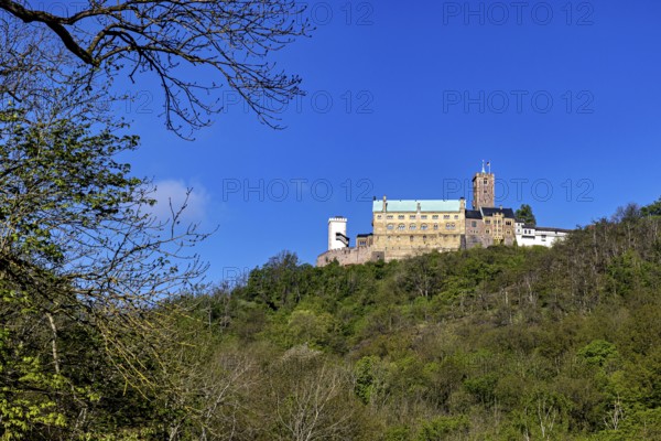 Castle enthroned on a wooded hill under a bright blue sky, Wartburg Castle near Eisenach in