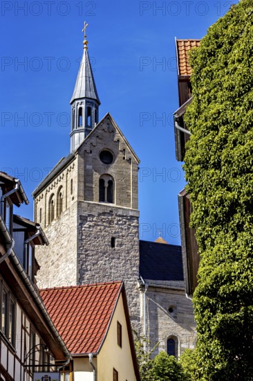 Church with high tower in front of blue sky and surrounding buildings, surrounded by trees, The