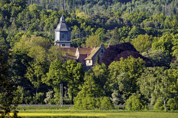 A church in the middle of a dense forest on a sunny day, The church tower of the castle church of
