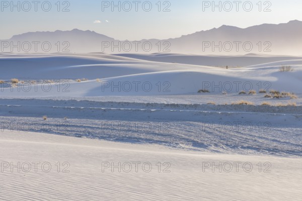 Dunes form smooth undulating curves and hills at White Sands National Park in Alamogordo, New
