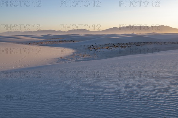 Smooth curved sand dunes in evening light at White Sands National Park in Alamogordo, New Mexico,