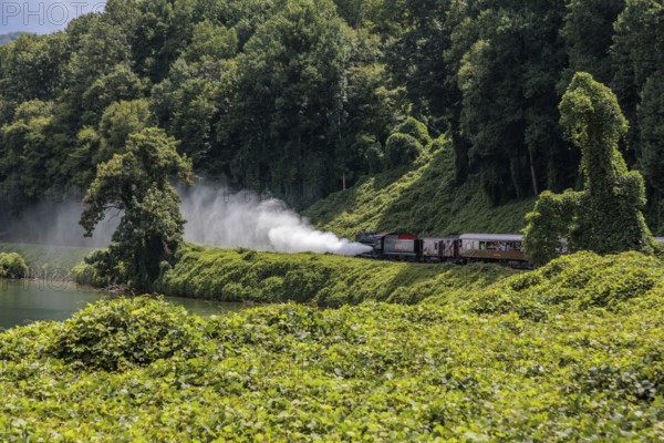 Great Smoky Mountains Railroad steam engine 1702 pushing the train from behind in reverse during an