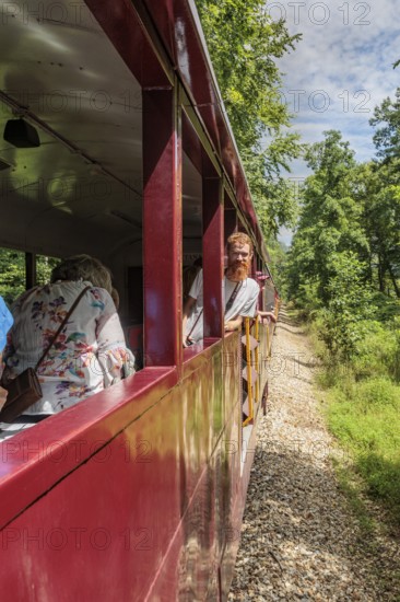 Young man leaning out the window of the open air car on the Great Smoky Moutains Railroad during an