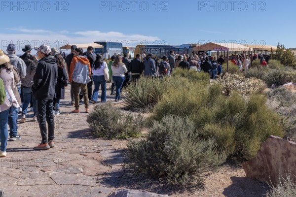 Visitors in line to take bus transportation from Eagle Point area too the Guano Point area of Grand