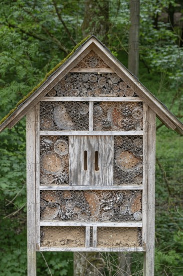 Insect hotel, wildlife park, Bavaria, Germany
