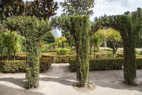 Botanic garden of the Casa del Chapiz, historical building, center of Granada, Granada, Andalusia,