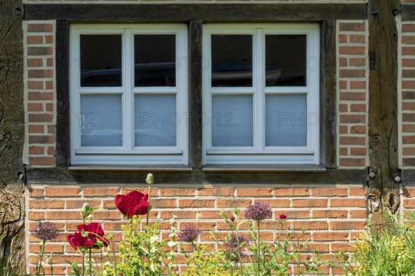 Half-timbered house façade with two small windows, district educational garden, Burgsteinfurt,
