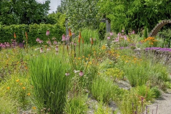 Perennial bed in summer, Burgsteinfurt district educational garden, Münsterland, North