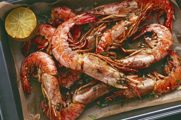 Juicy grilled shrimp, placed on a baking sheet lined with parchment paper, garnished with herbs and