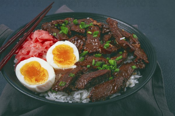 Udon Japanese beef with rice, pickled ginger, boiled egg slice, garnished with green onions, in a
