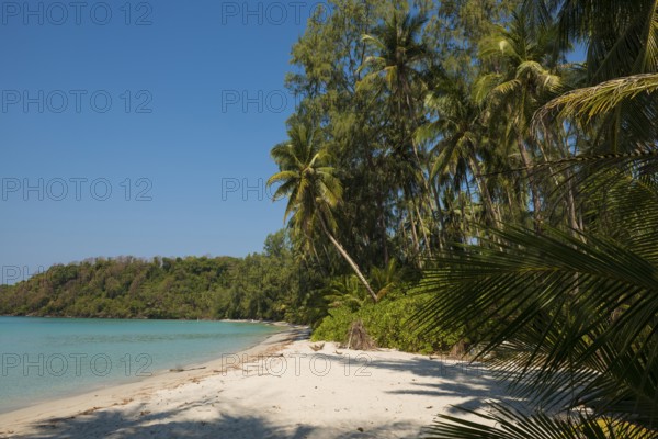 Sandy beach beach with coconut palms, We Ao Jark Beach, Koh Kood, Koh Kut, Gulf of Thailand,