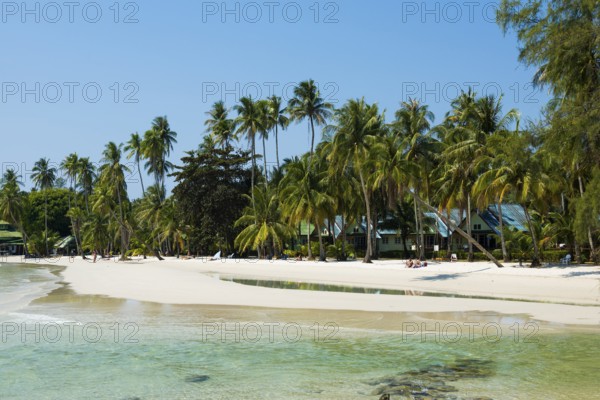 Sandy beach beach with coconut palms, Haad Khlong Hin Beach, Koh Kood, Koh Kut, Gulf of Thailand,