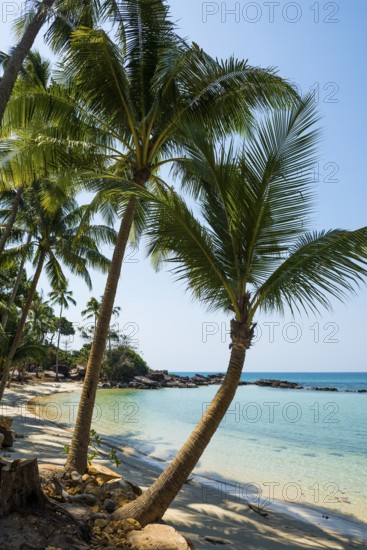 Sandy beach beach with coconut palms, Haad Khlong Hin Beach, Koh Kood, Koh Kut, Gulf of Thailand,
