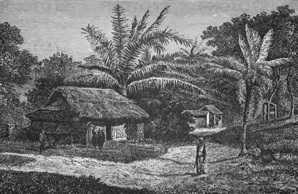 Village near Colombo, around 1870, Sri Lanka, digital reproduction of a historical model